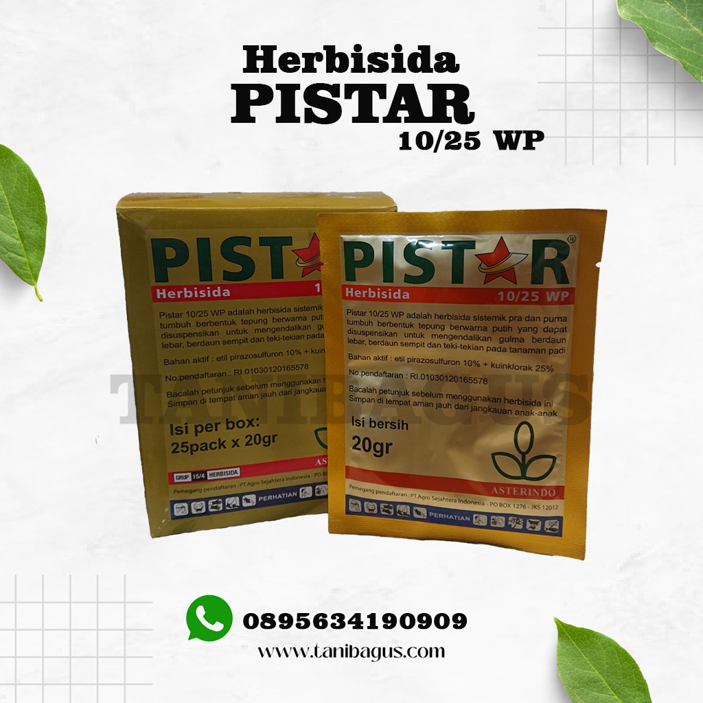 PISTAR 10/25 WP - 20 GR