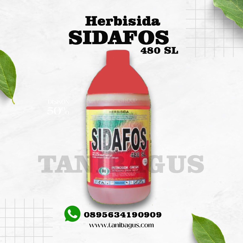 SIDAFOS 480 SL - 1 Liter
