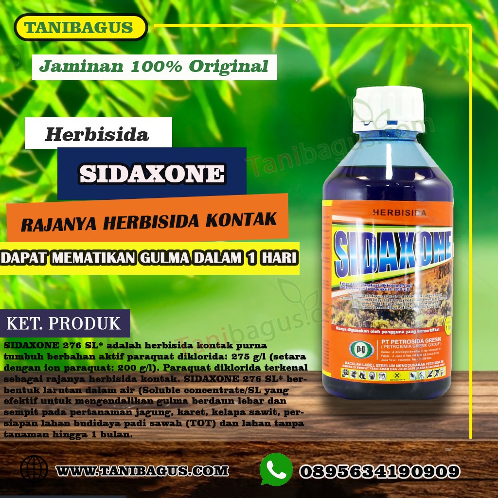 SIDAXONE 276 SL