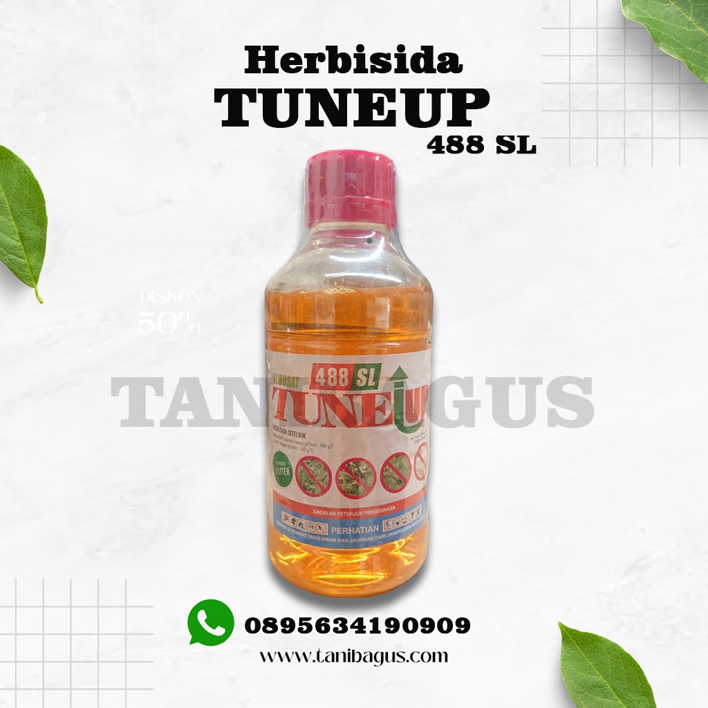 TUNEUP 488 SL - 1 LITER