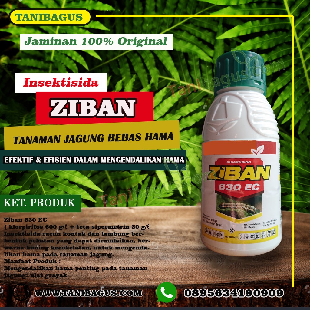 ZIBAN 630 EC