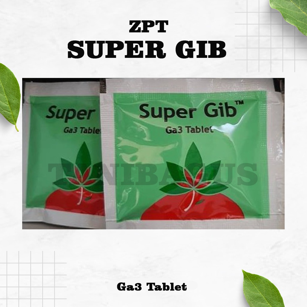 SUPER GIB Zat Pengatur Tumbuh